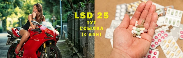 ПСИЛОЦИБИНОВЫЕ ГРИБЫ Бугульма
