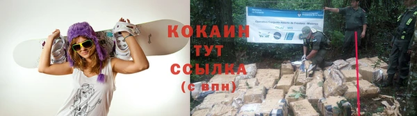 гидропоника Бронницы